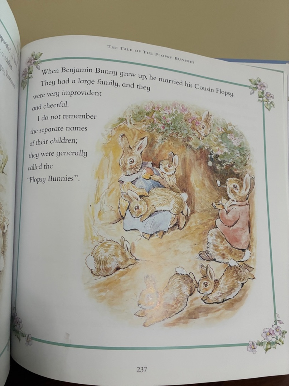 Peter Rabbit - Storytime Collection & Baby Activity Plush - Picture 9 of 15